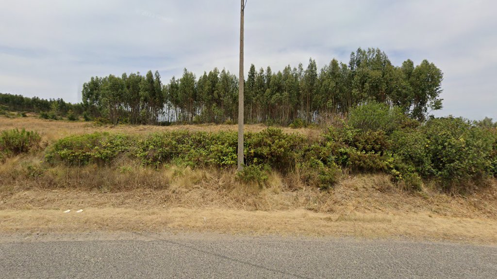 Quinta da Murzinheira