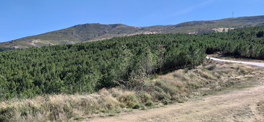 Casa de la Floresta Parada de Monteiros