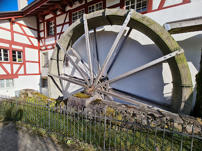 Museo Geigenmühle