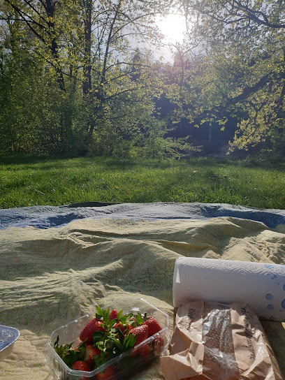 Búsqueda del Tesoro en la Isla de los Piratas