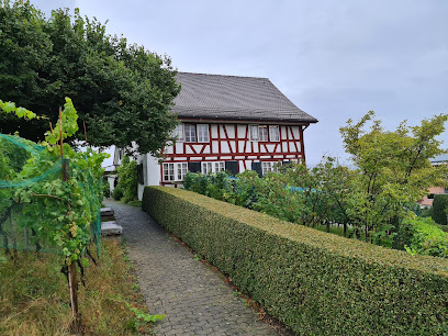 Museo Orts de Rüschlikon