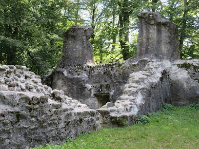 Kasteelruïne Grünenberg