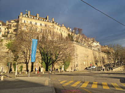 Fundación Museo Tatiana Zoubov