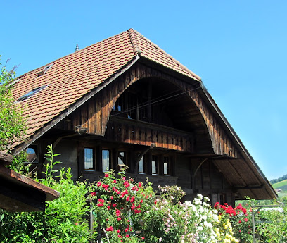 Museo del Juguete de Wattenwil