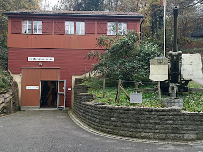 Museo de la Fortaleza Heldsberg