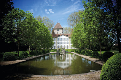 Castillo de Jegenstorf