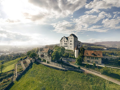 Castillo de Wildegg
