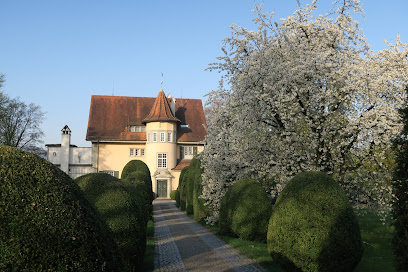 Museo Casa C.G. Jung