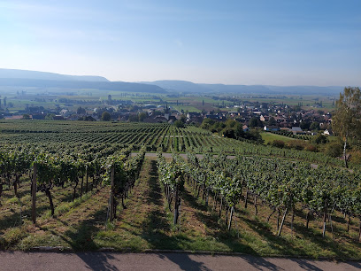 Museo Local de Hallau