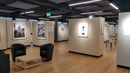 Galería del Boléro