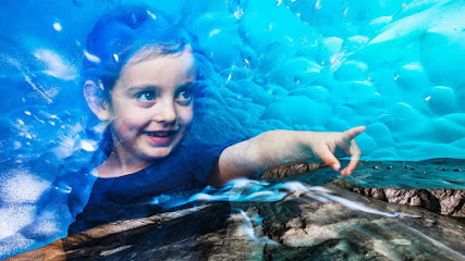 Foro Mundial de la Naturaleza