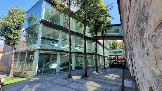 Museo Provincial de Pontevedra - Edificio Castelao