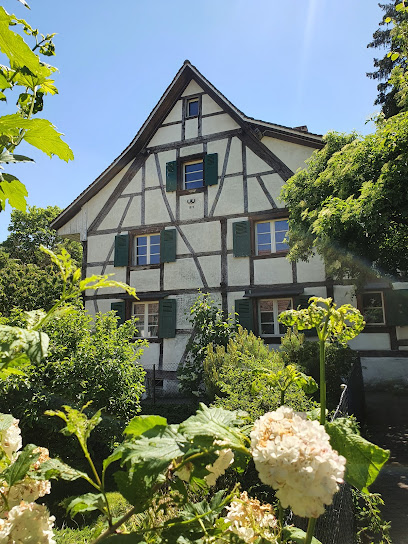 Museo de la Patria de Allschwil