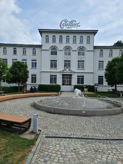 Casa Cailler