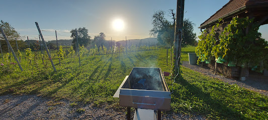 Museo de Viticultura y Agricultura