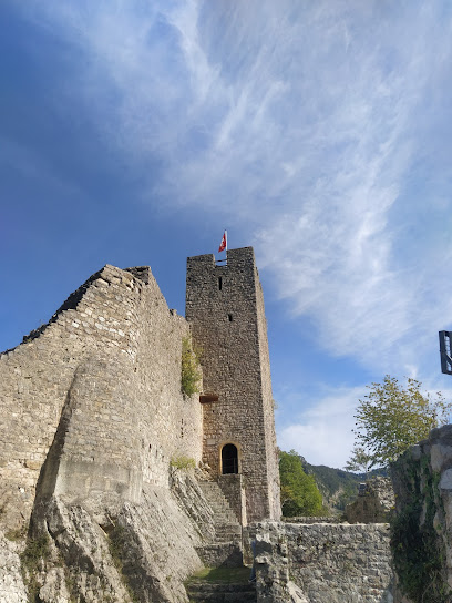 Visitas al Castillo Ruina Waldenburg