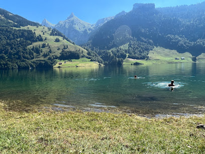 Punto de vista, 1Bänkli