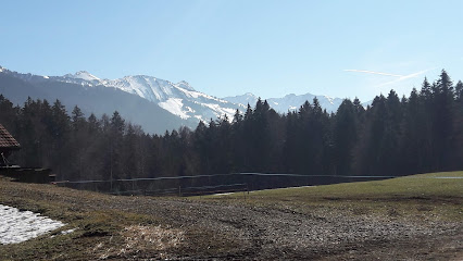 Cabaña de Bouleyres