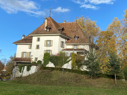 Castillo de Münsingen