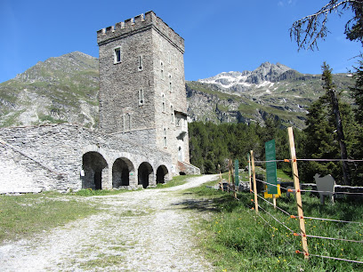 Torre Belvedere