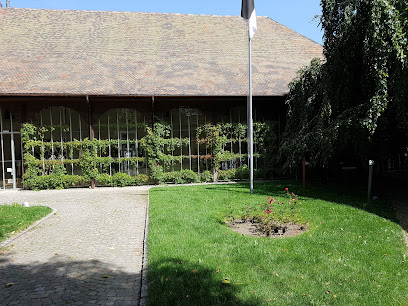 El Museo del Vitral