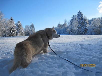 Estacionamiento camino de En Fayet
