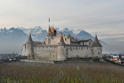 Museo de la vid, del vino y de la etiqueta