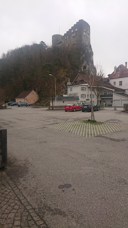 Asociación Castillo y Museo Alt Falkenstein
