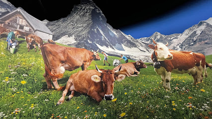 Aventura del Chocolate Suizo