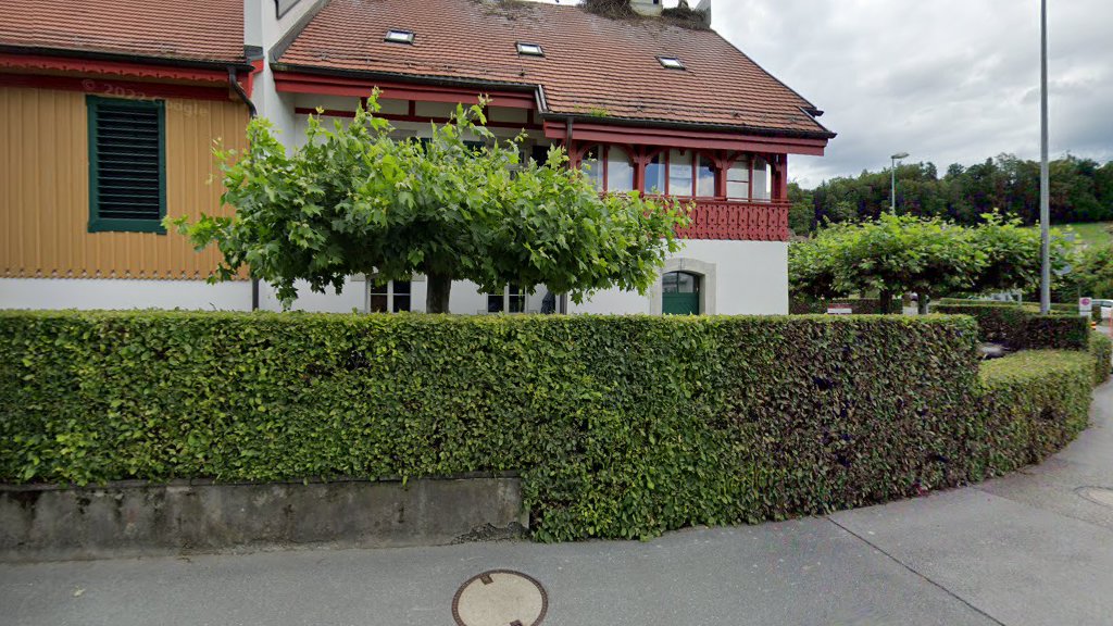 Museo Uznach - Museo Local