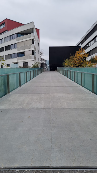 Pasarela del milenio