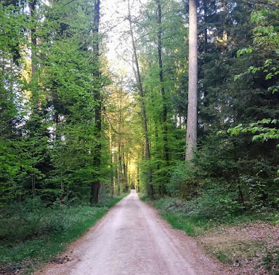 Sendero Forestal de Solothurn