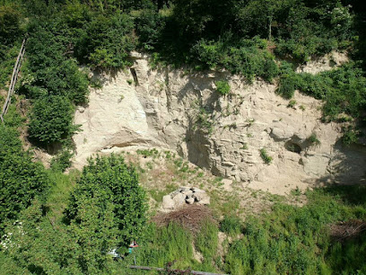 Sandgrube Biel