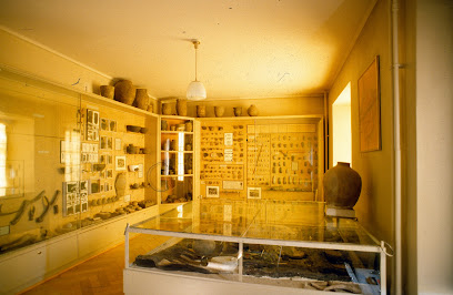 Museo Transitorio y Camino de Estaciones