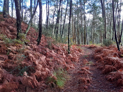 Castro da Croa
