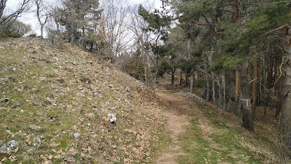 Castro / Castillo de El Royo