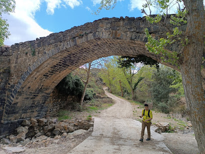 Puente medieval