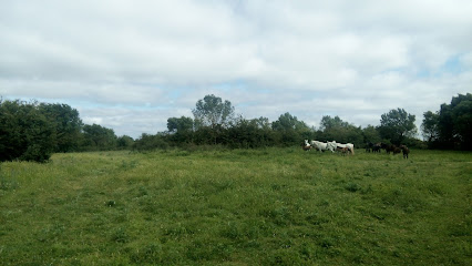 Dehesa de Quintanapalla