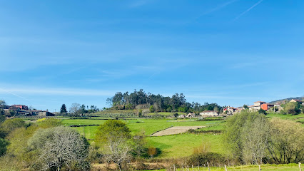 CASTRO DE PRADERREI