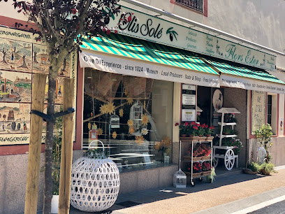 Olis Solé - botiga i petit museu