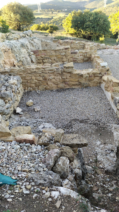 La moleta dels frares