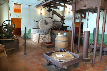 Museo Oleico