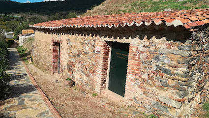 Exposición El Buscador de Setas