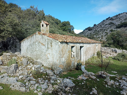 Cortijo De Barea