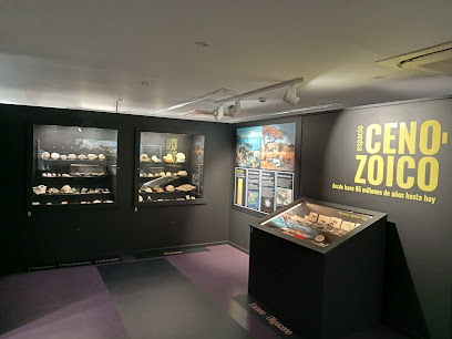 Fossilium Villamuriel de Cerrato