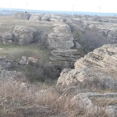 Museo de Miño de Medinaceli