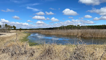 Laguna de Sotillos Bajeros