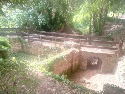 Piscifactorias romanas Viver