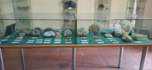 Museo de Evolución Paleontológica