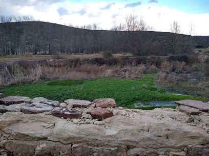 Manantial 'La Güen'